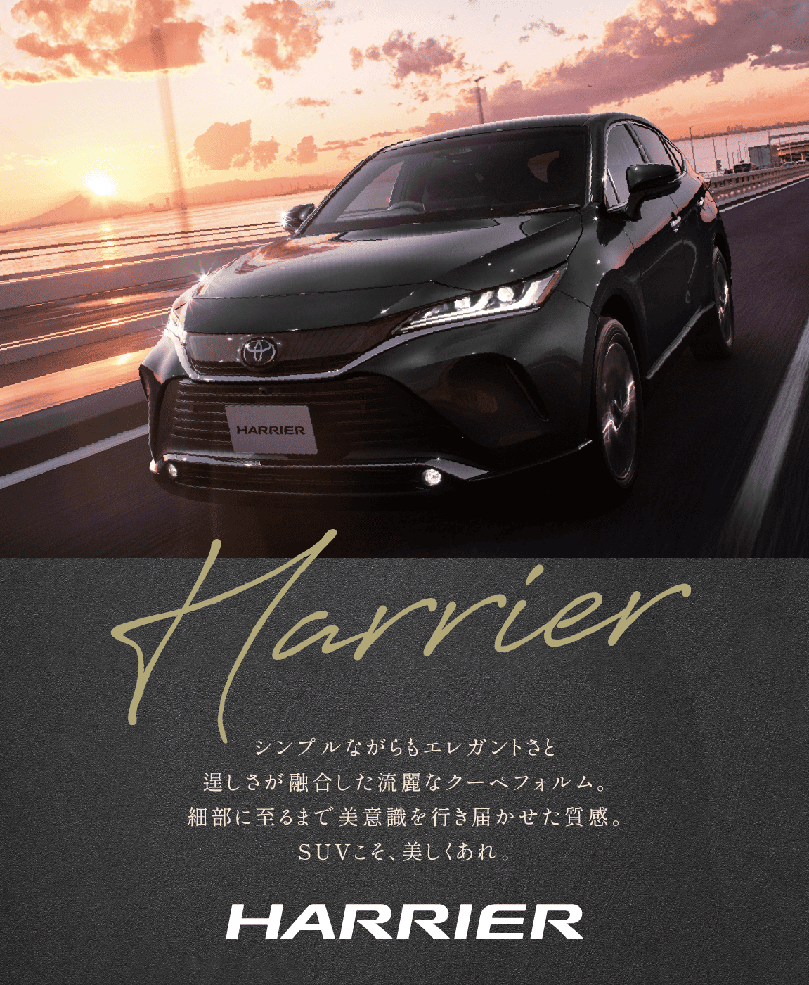 ハリアー