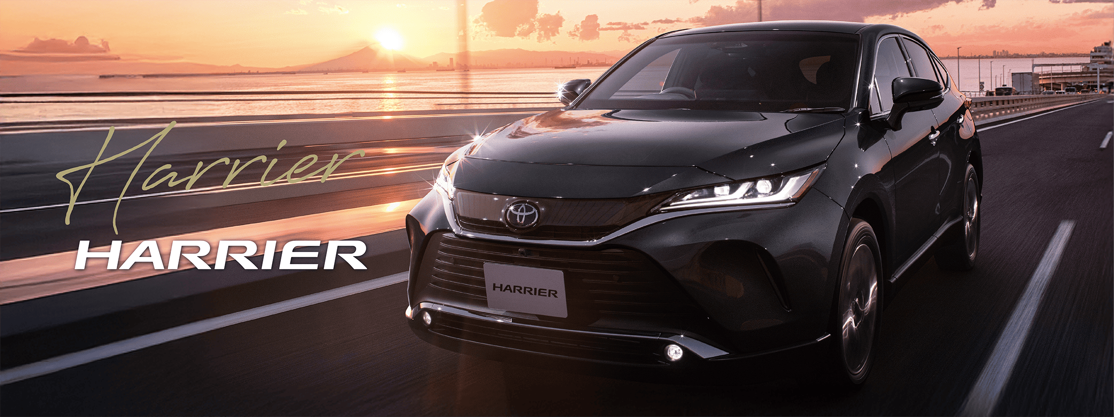 ハリアーバナー